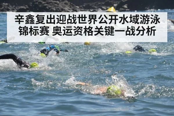 辛鑫复出迎战世界公开水域游泳锦标赛 奥运资格关键一战分析 | kaiyun
